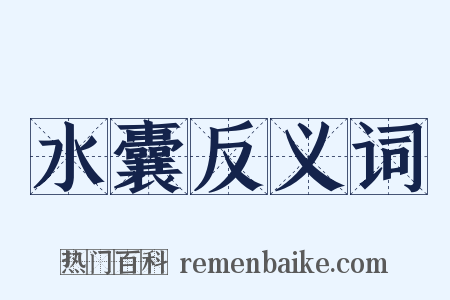 水囊反义词是什么意思的图片